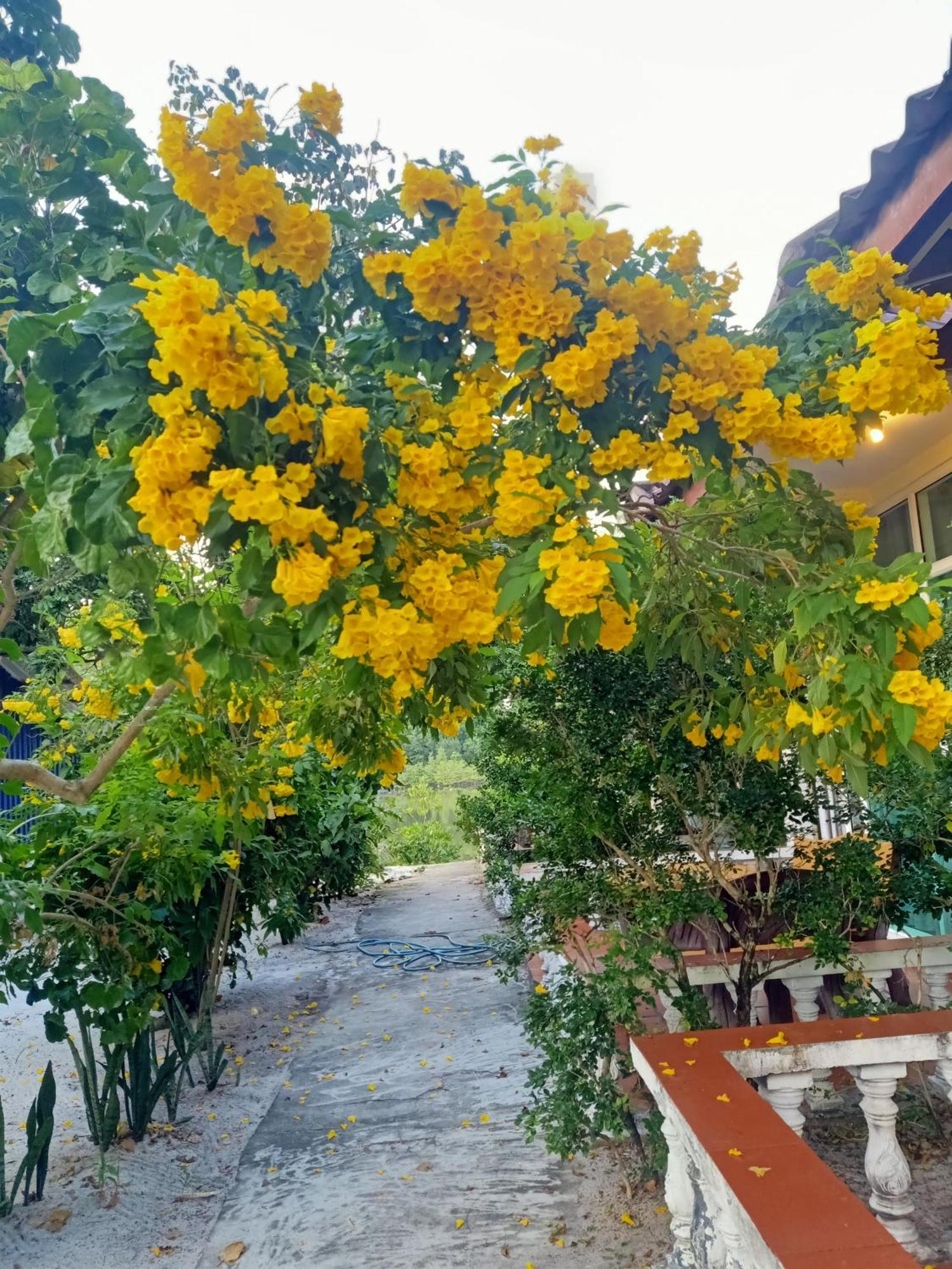 Sok San Villa Koh Rong Phumi Kaoh Rung Экстерьер фото